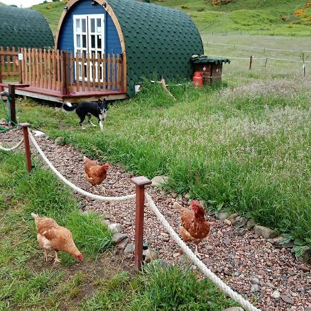 Wee Hoose Glamping Pod 1 Hotel Skail Exterior foto